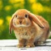 Информация о пользователе